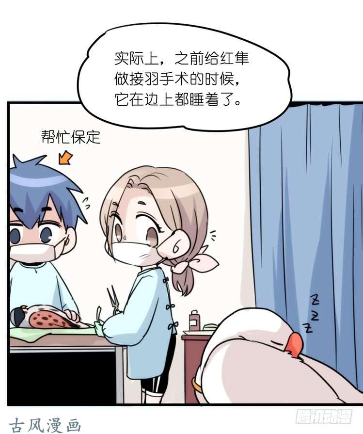 进化之基家有鹅霸：魔高一尺道高一丈