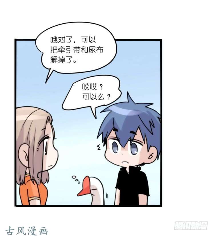 进化之基家有鹅霸：人类离开之后……