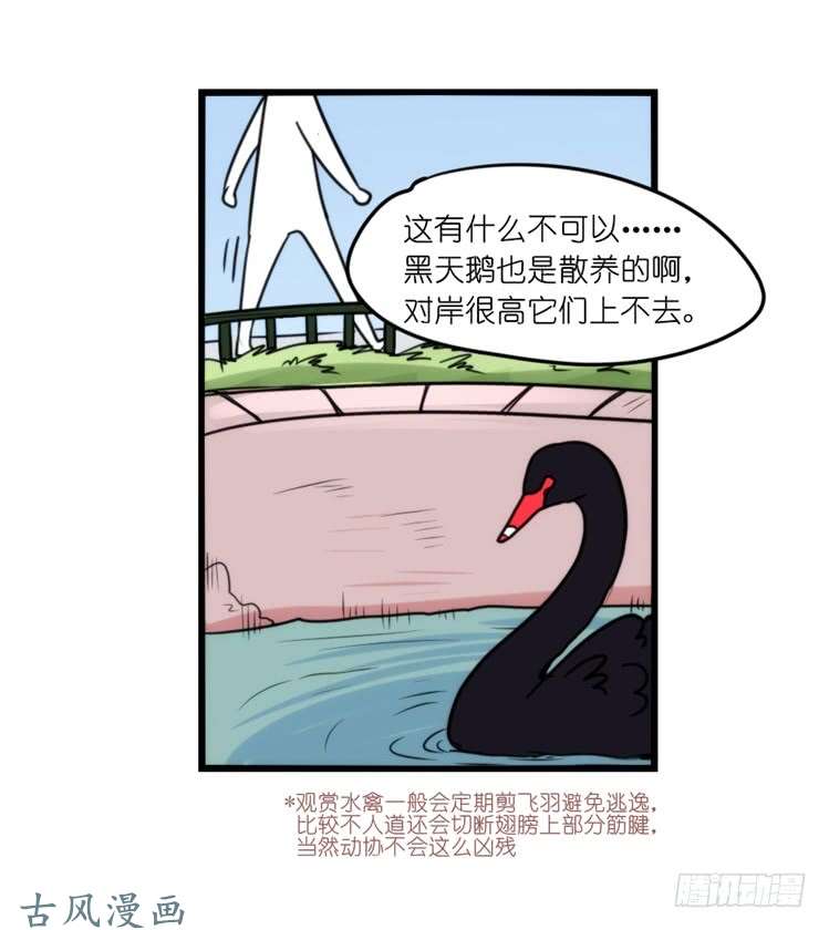 进化之基家有鹅霸：人类离开之后……