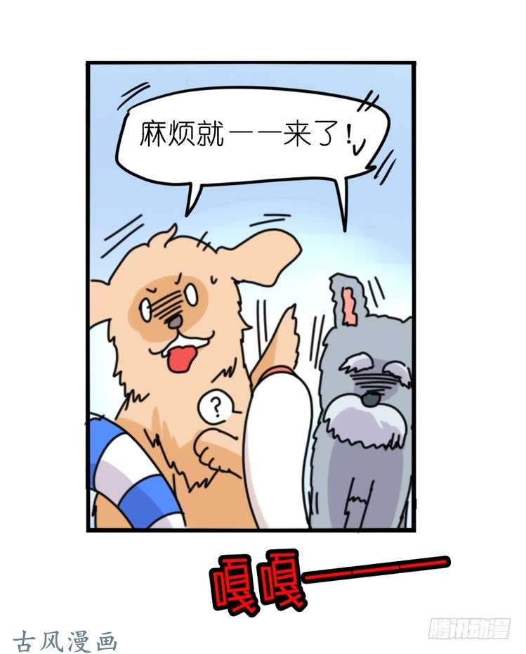 进化之基家有鹅霸：人类离开之后……