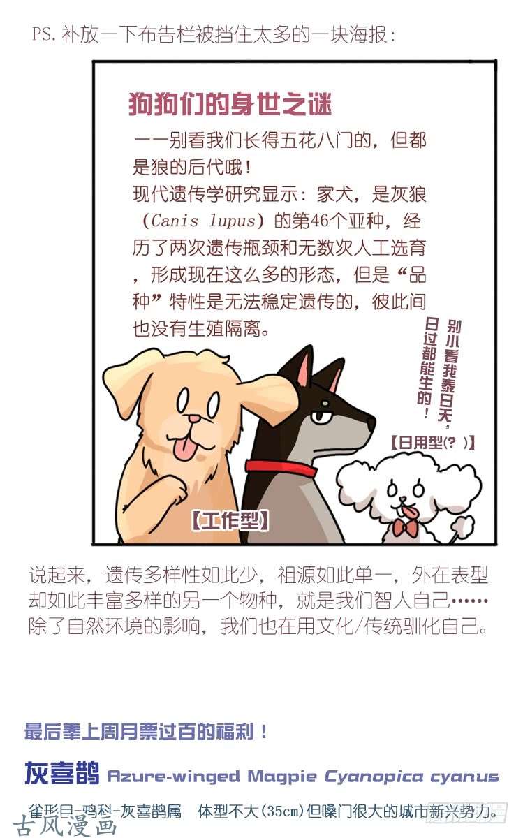 进化之基家有鹅霸：转场茶话会