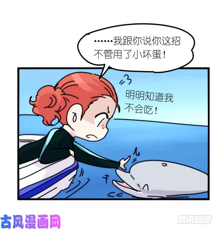 进化之基海洋精灵：目标是王牌?!
