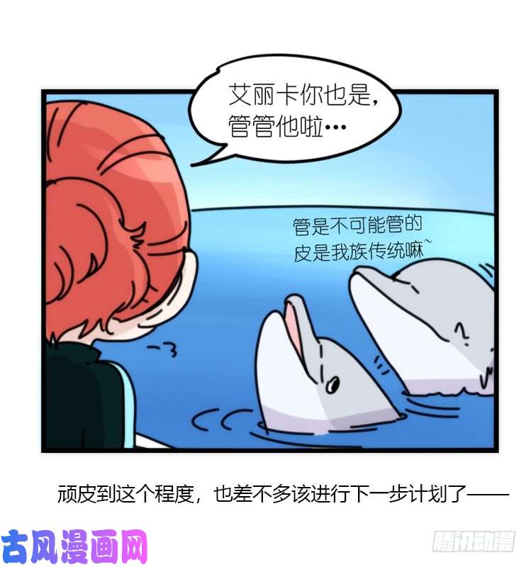 进化之基海洋精灵：目标是王牌?!