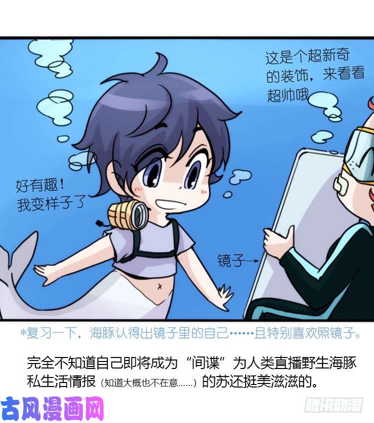 进化之基海洋精灵：目标是王牌?!