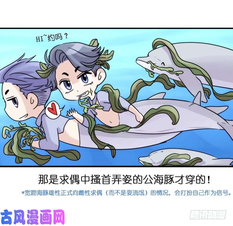 进化之基海洋精灵：目标是王牌?!