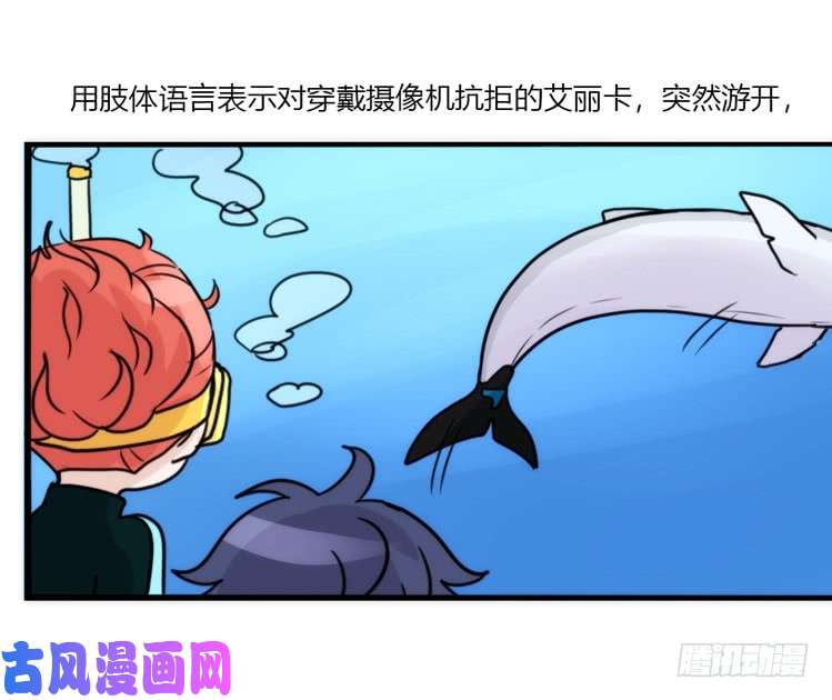 进化之基海洋精灵：目标是王牌?!