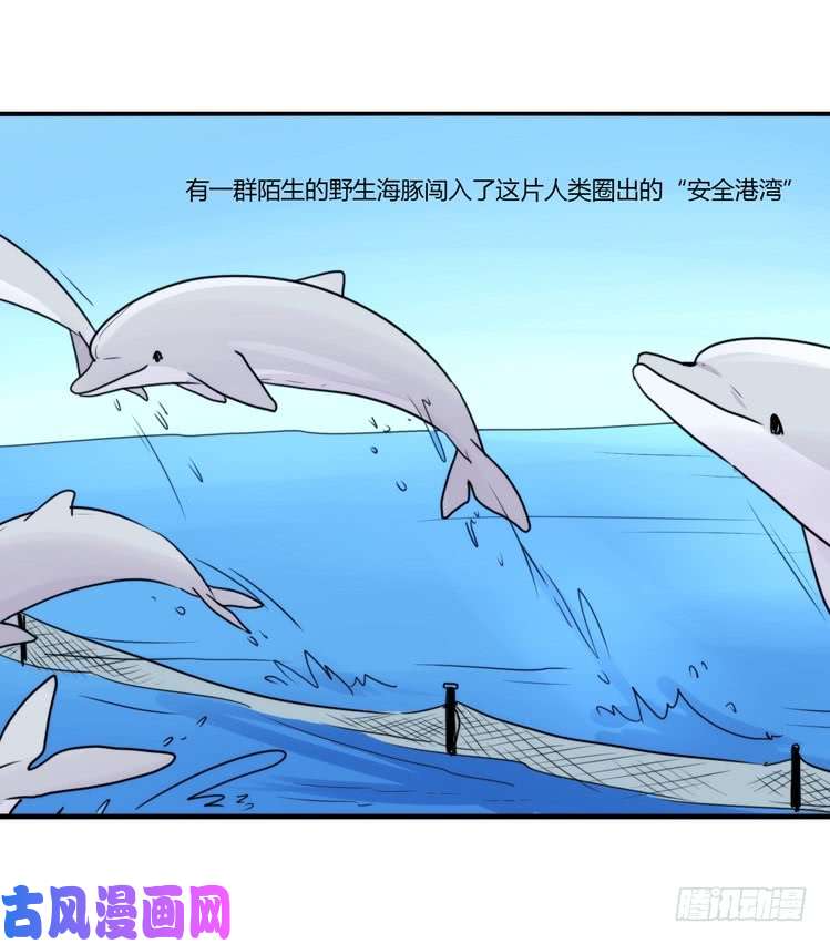 进化之基海洋精灵：目标是王牌?!