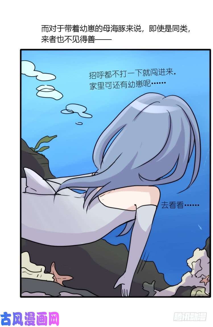 进化之基海洋精灵：目标是王牌?!
