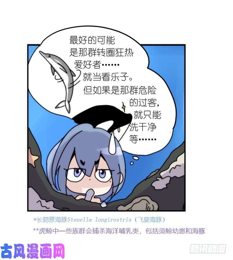 进化之基海洋精灵：目标是王牌?!