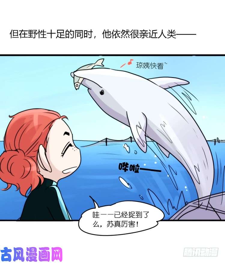 进化之基海洋精灵：目标是王牌?!