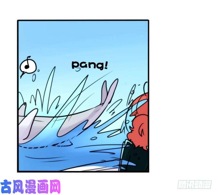 进化之基海洋精灵：目标是王牌?!
