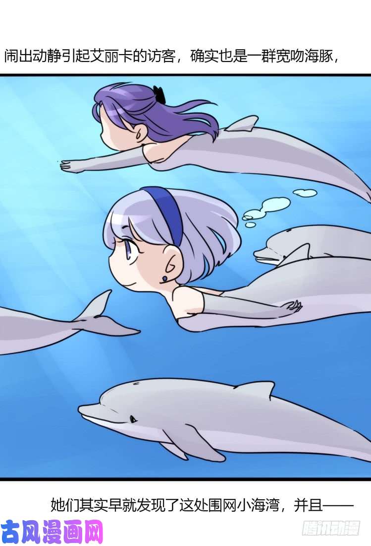 进化之基海中精灵：海豚直播间