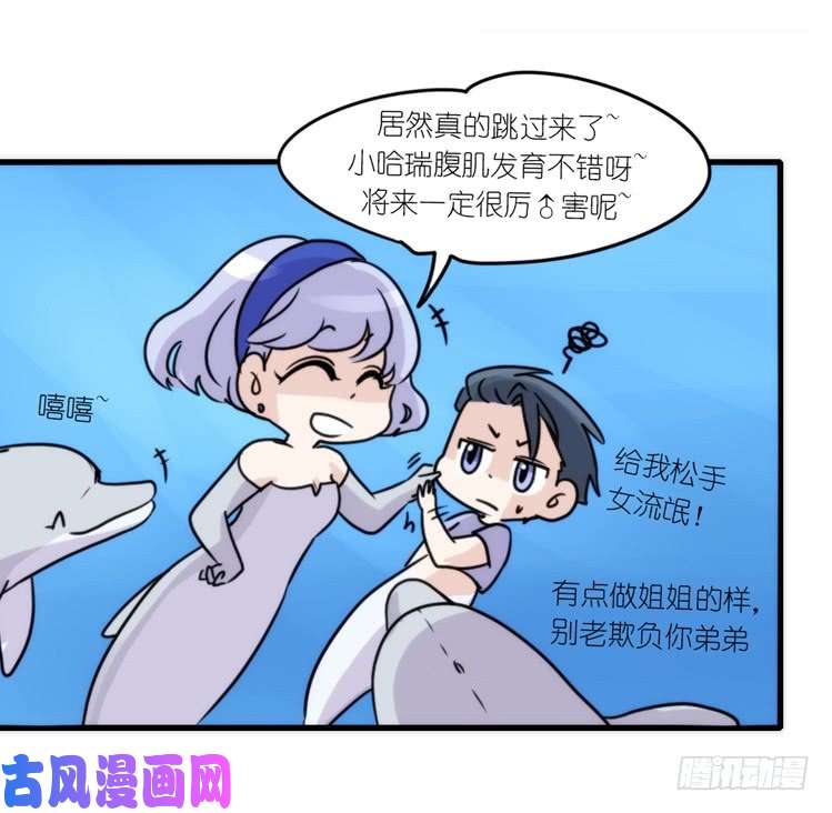 进化之基海中精灵：海豚直播间