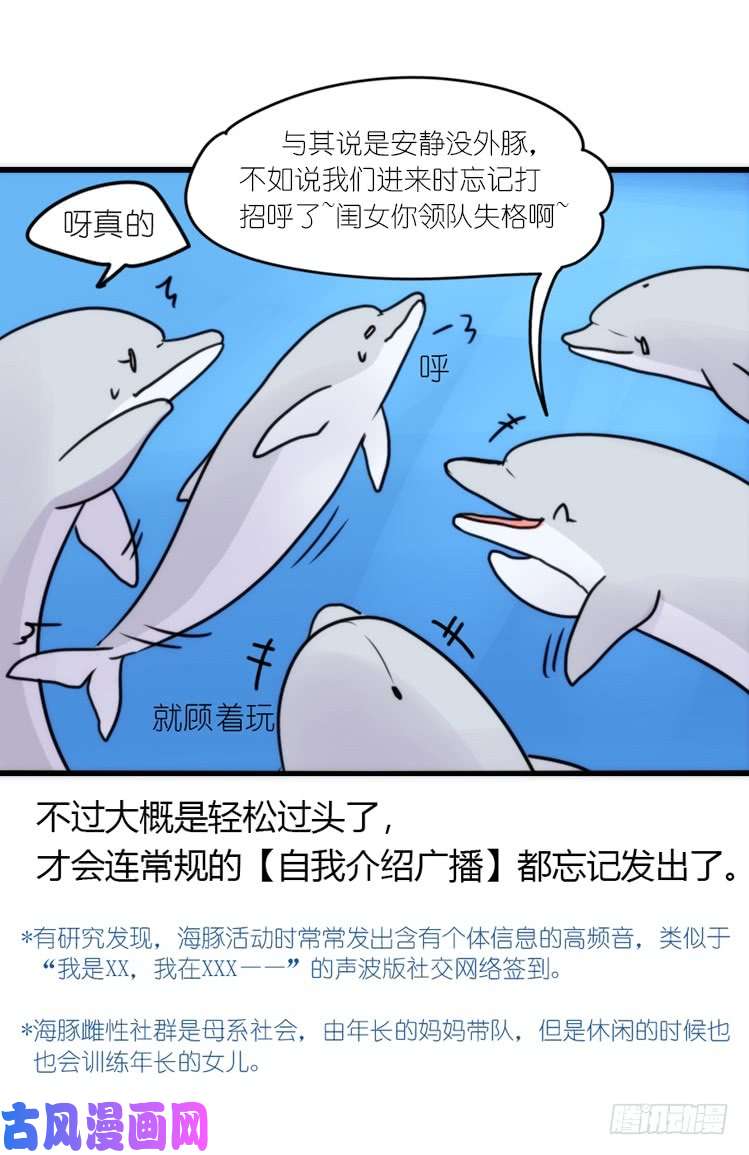 进化之基海中精灵：海豚直播间