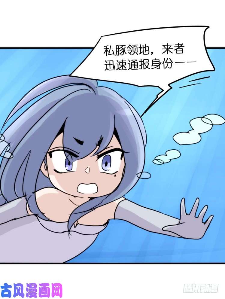 进化之基海中精灵：海豚直播间