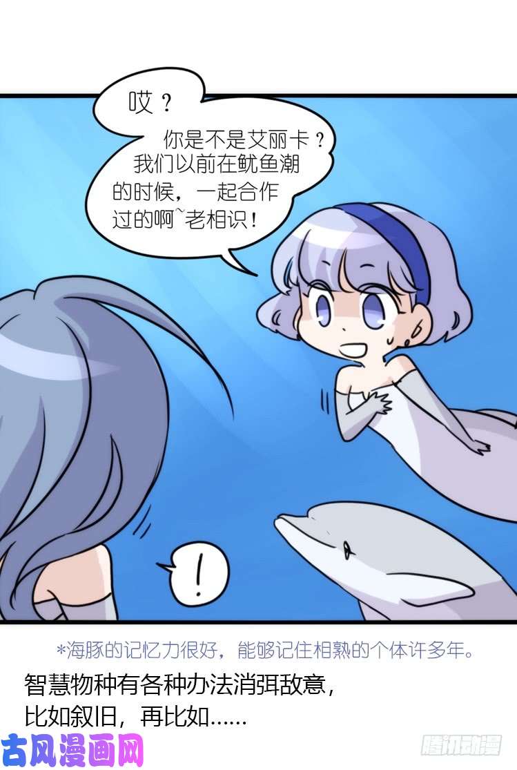 进化之基海中精灵：海豚直播间