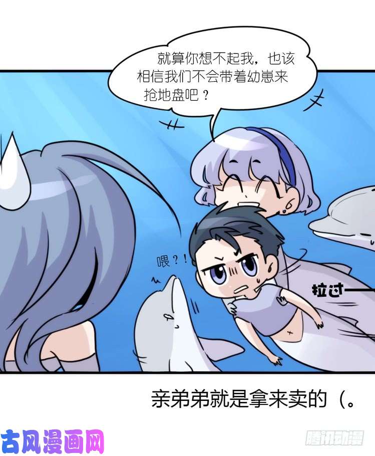 进化之基海中精灵：海豚直播间