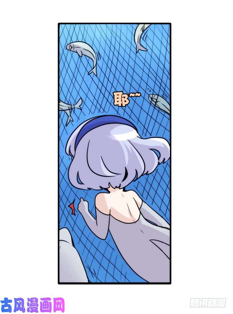 进化之基海中精灵：海豚直播间