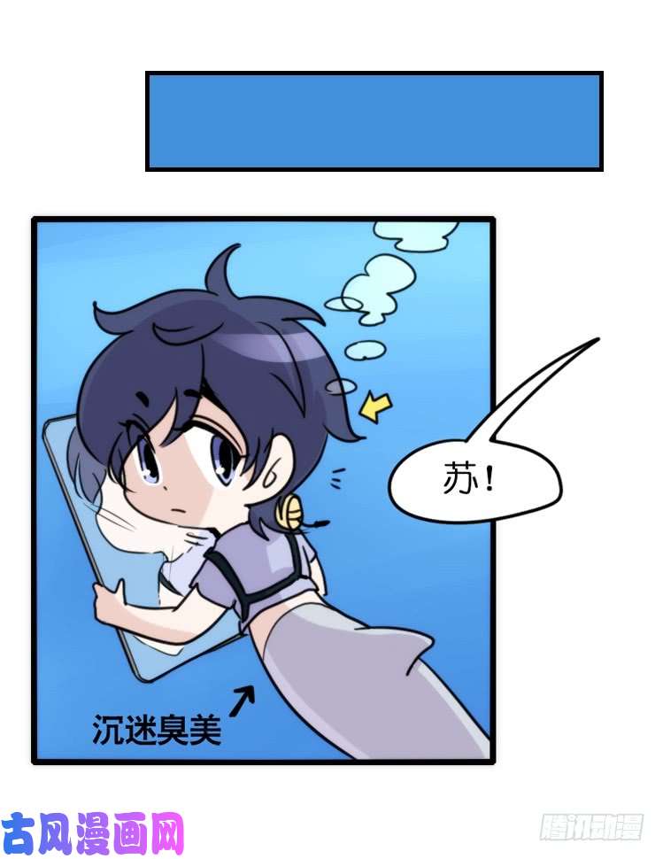 进化之基海中精灵：海豚直播间