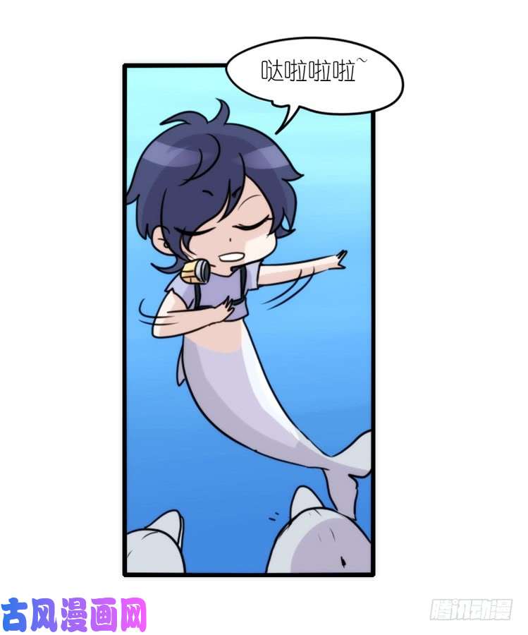 进化之基海中精灵：海豚直播间