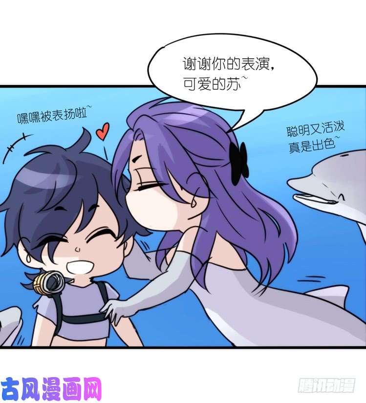 进化之基海中精灵：海豚直播间