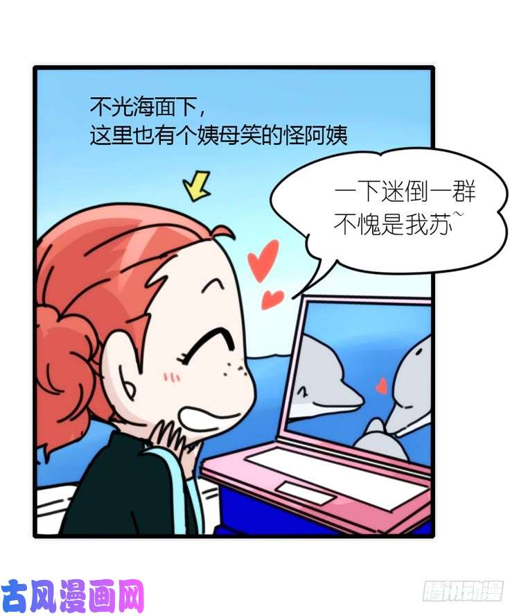 进化之基海中精灵：海豚直播间