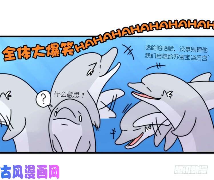 进化之基海中精灵：海豚直播间