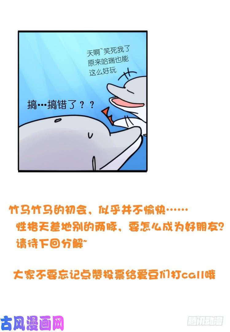 进化之基海中精灵：海豚直播间