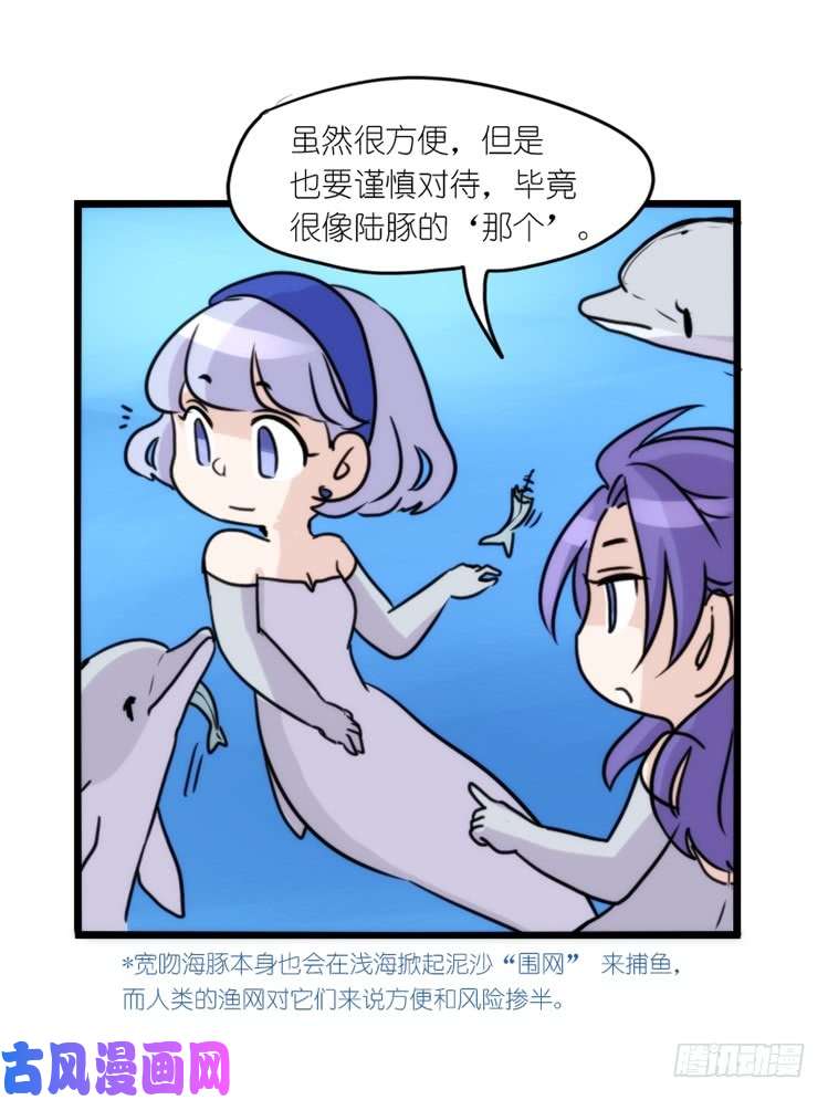 进化之基海中精灵：海豚直播间
