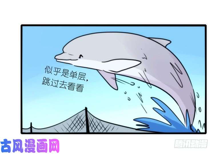 进化之基海中精灵：海豚直播间