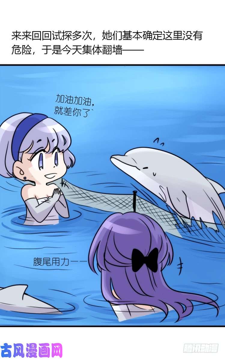进化之基海中精灵：海豚直播间