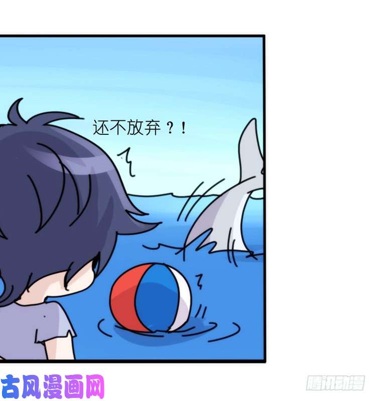 进化之基海中精灵：欢喜冤家？