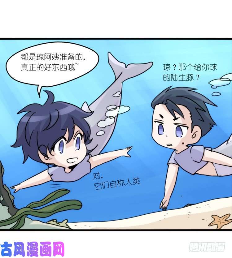 进化之基海洋精灵：豚会玩