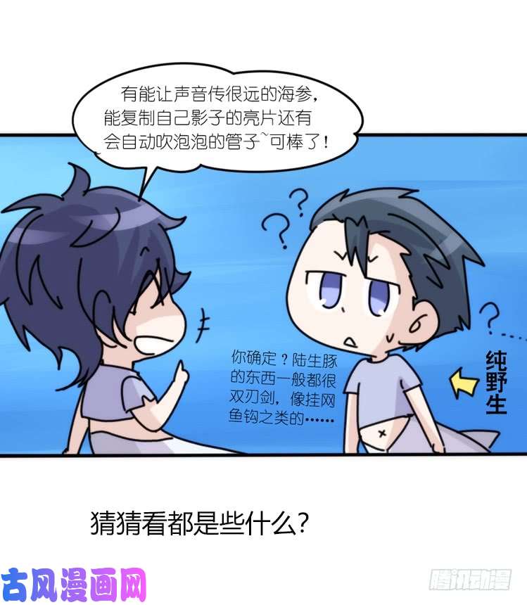 进化之基海洋精灵：豚会玩