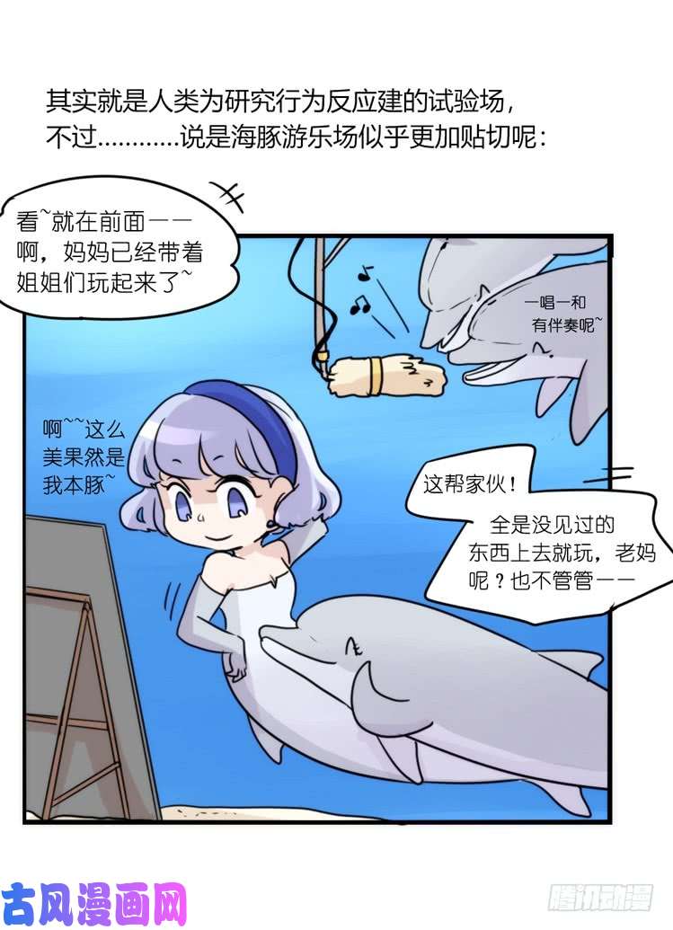 进化之基海洋精灵：豚会玩