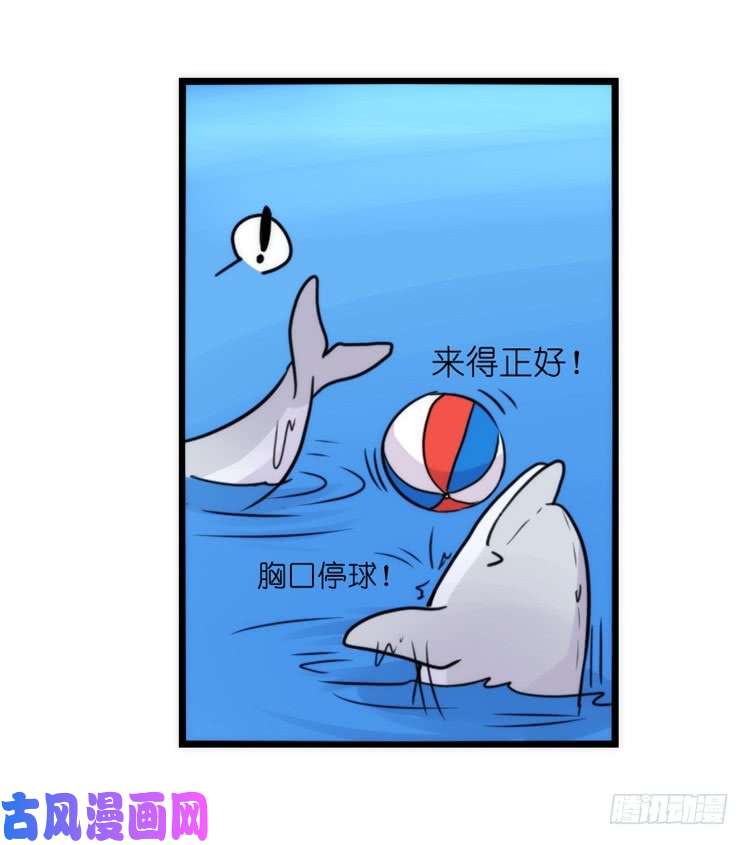 进化之基海洋精灵：豚会玩