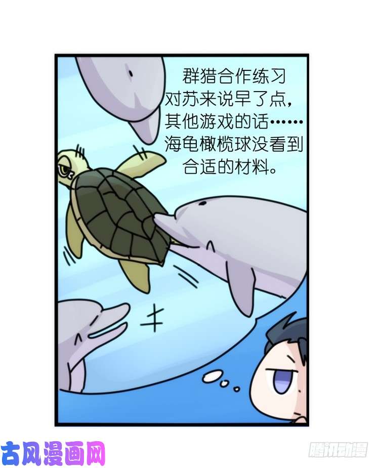 进化之基海洋精灵：豚会玩