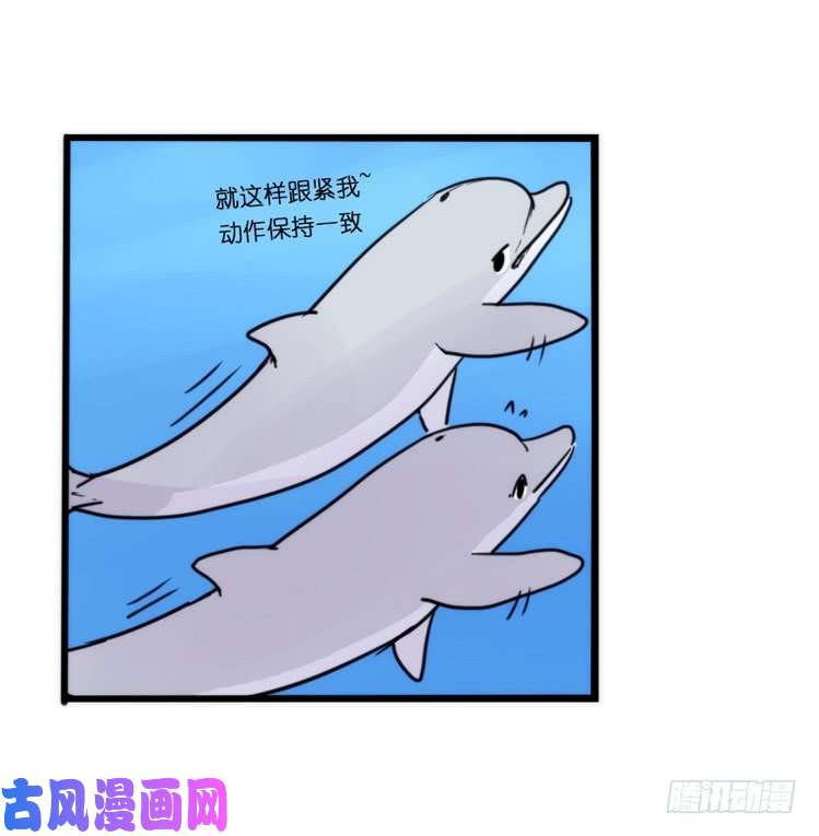 进化之基海洋精灵：豚会玩
