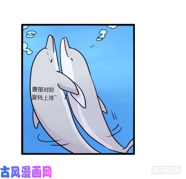进化之基海洋精灵：豚会玩