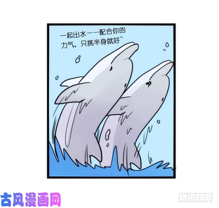 进化之基海洋精灵：豚会玩