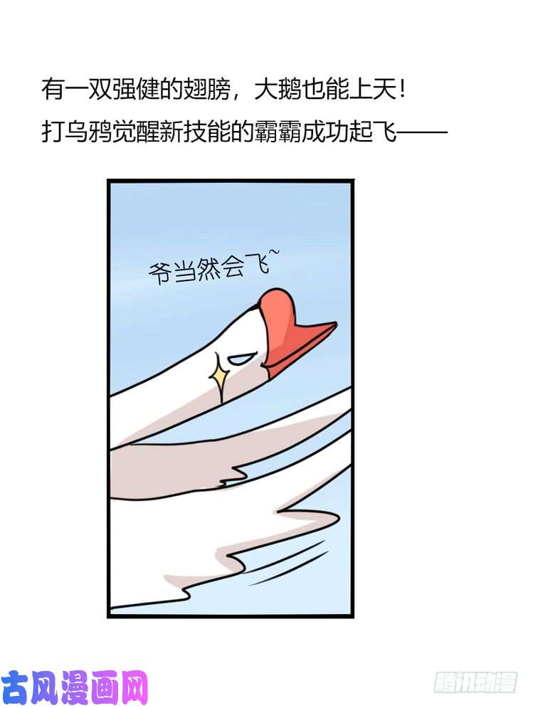 进化之基海洋精灵：豚会玩