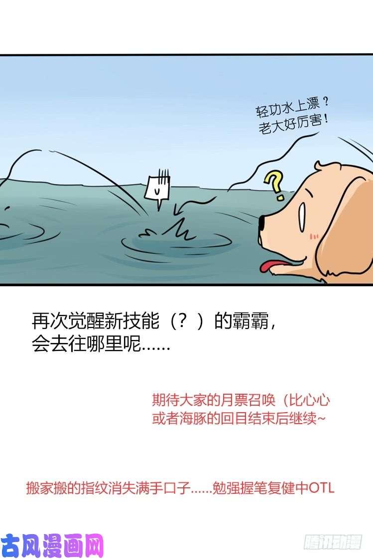 进化之基海洋精灵：豚会玩