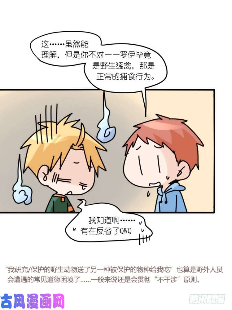 进化之基圣诞番外：特别礼物