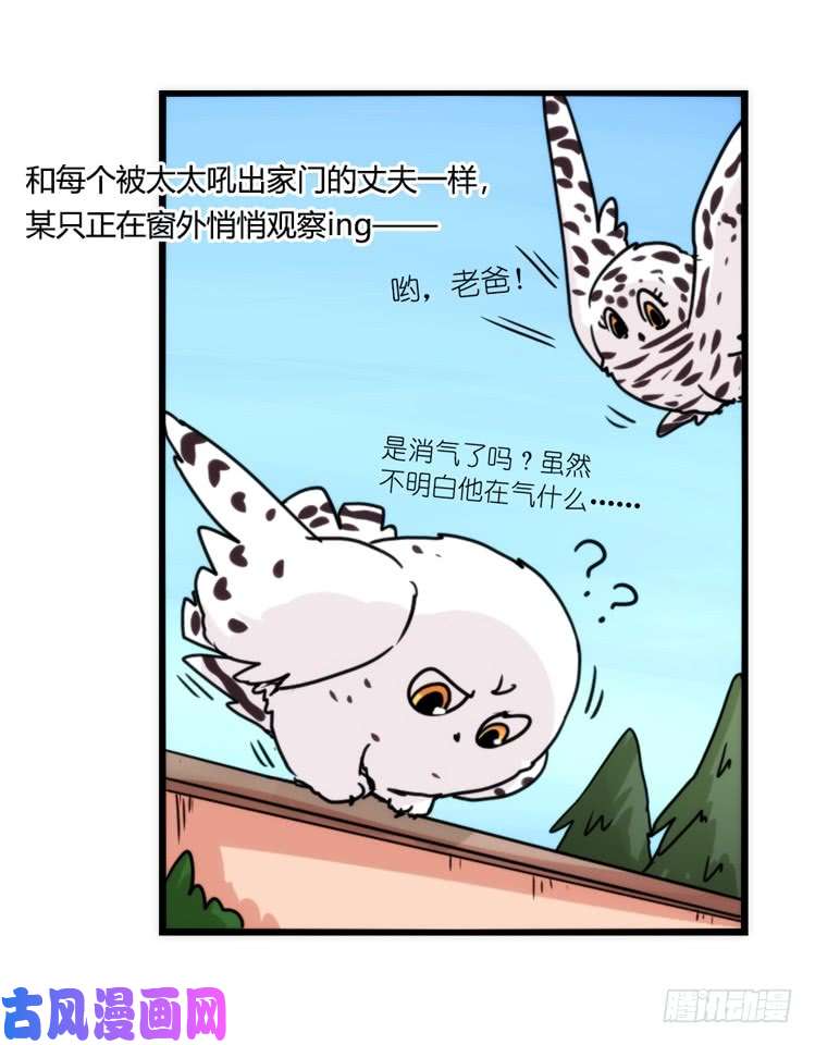 进化之基圣诞番外：特别礼物