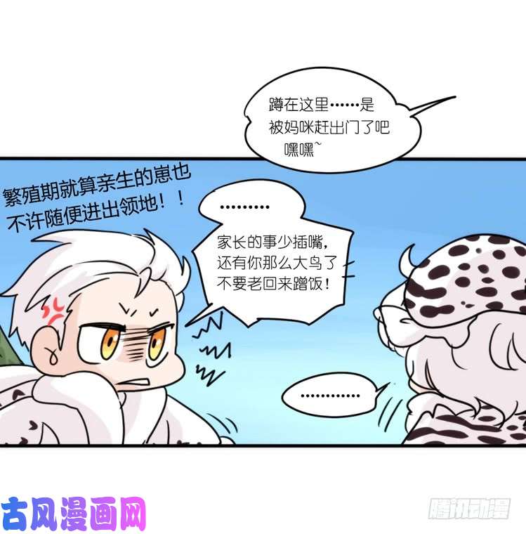 进化之基圣诞番外：特别礼物