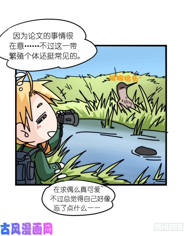 进化之基圣诞番外：特别礼物