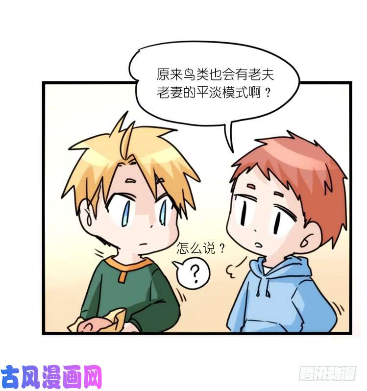 进化之基圣诞番外：特别礼物