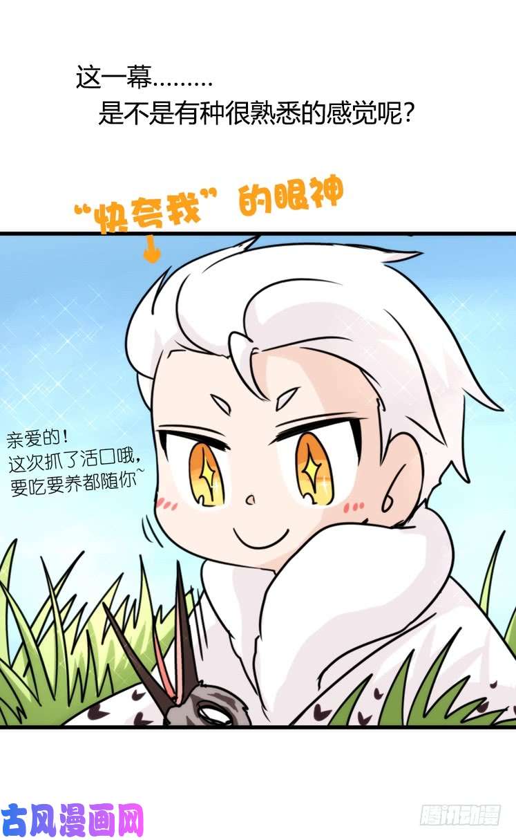 进化之基圣诞番外：特别礼物
