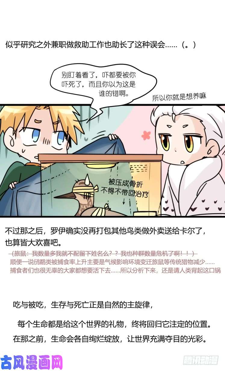 进化之基圣诞番外：特别礼物