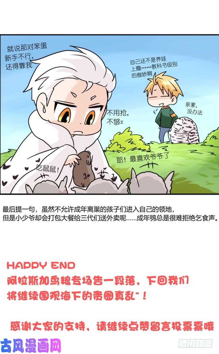 进化之基圣诞番外：特别礼物